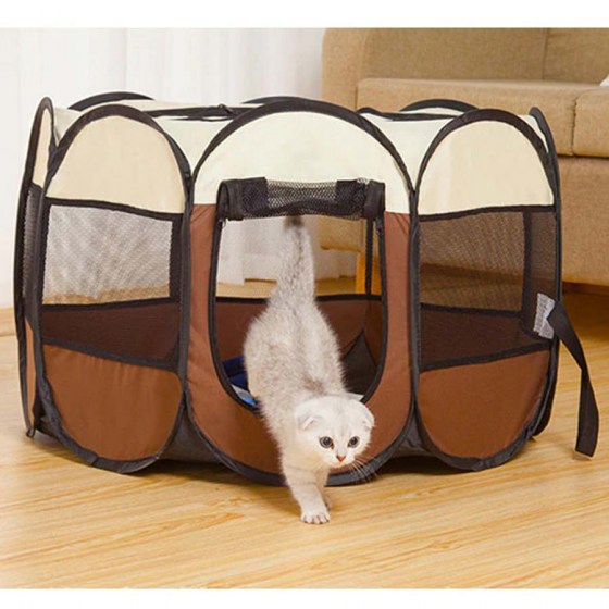 tent1